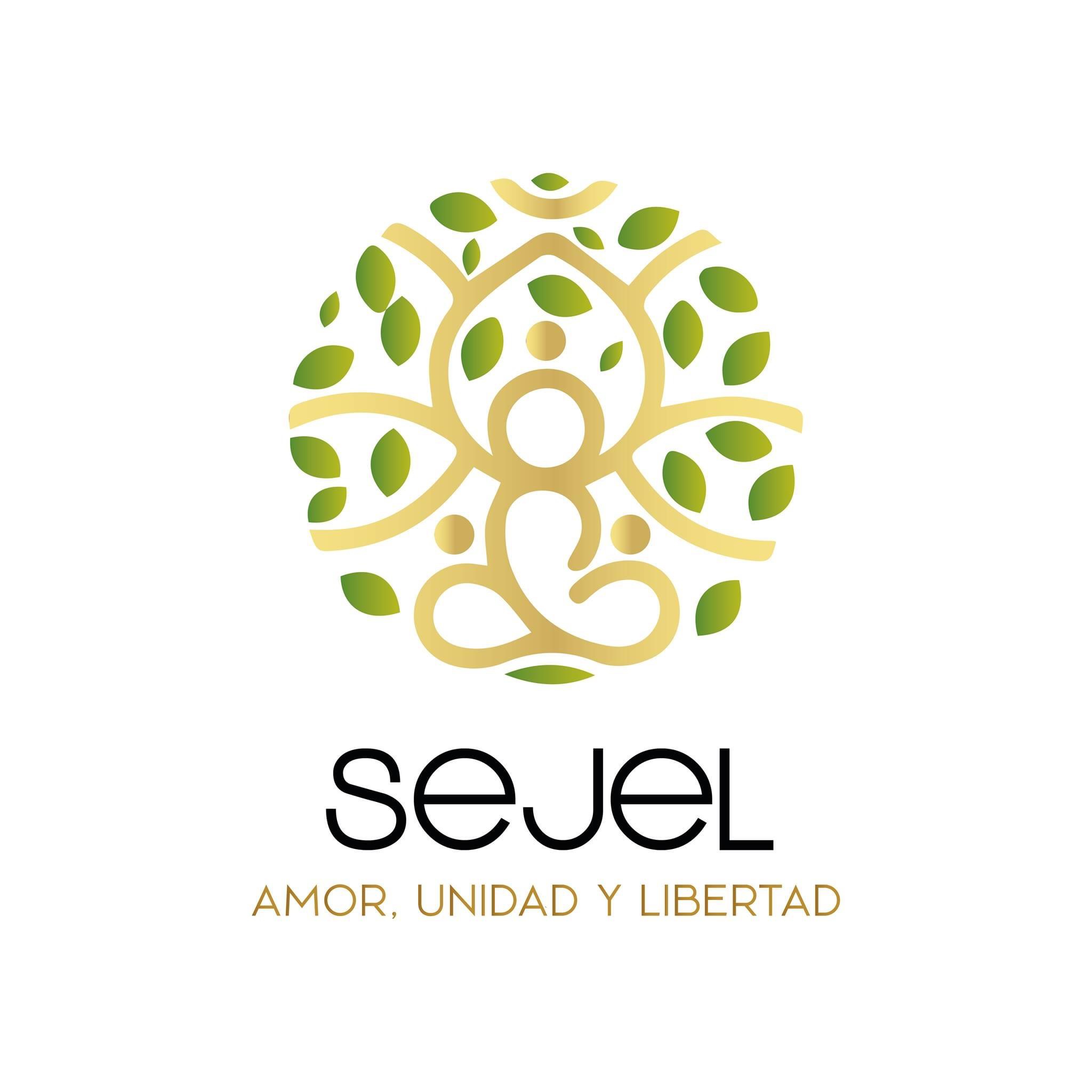 sejel.com.mx